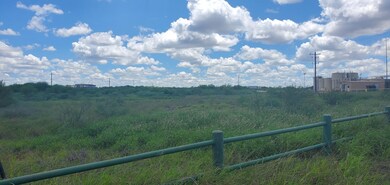 0 Farm To Market Road 468, Cotulla, TX - photo 3