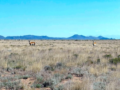 Pecos Trail, Jaroso, CO 81138 - photo 6