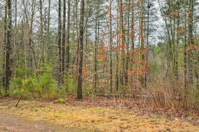 37 Bango Dr, Leicester, NC 28748 - photo 4