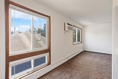 333 8th St SE unit 305, Minneapolis, MN 55414 - photo 7