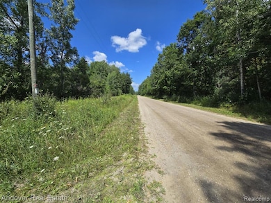 00B Leckrone Rd, Brown Township, MI 49619 - photo 3