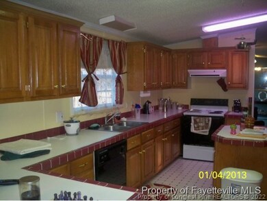 41 Dixie Trail Rd, Lumber Bridge, NC 28357 - photo 4