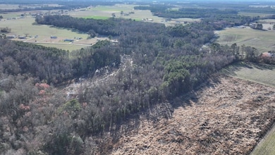 2233 Peanut Rd, Snow Hill, NC 28580 - photo 6