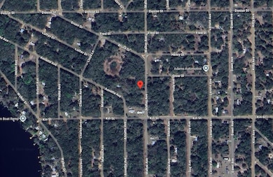 0 Maltas Ave unit 25650358, Interlachen, FL 32148 - photo 3