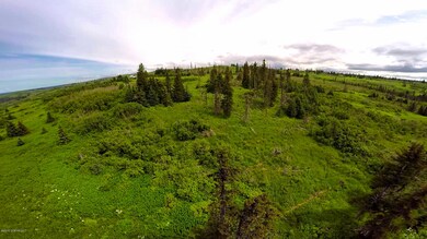32800 Coyote Run Rd, Nikolaevsk, AK 99556 - photo 4