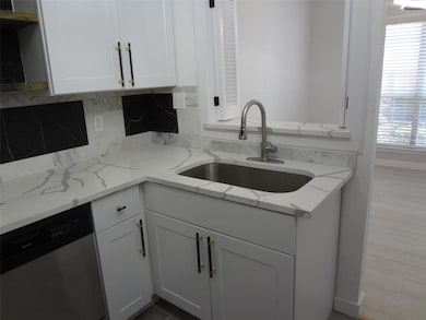 Quartz counters, SS sink and faucet.