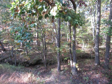 162 Trentwood Dr, Crossville, TN 38558 - photo 2