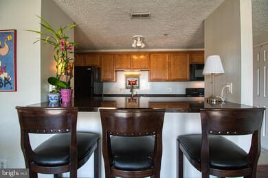 301 Palmspring Dr unit 10, Gaithersburg, MD 20878 - photo 4