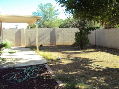 Private Back Yard / Covered Patio