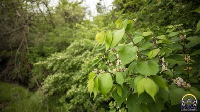 00000 U Rd, Hoyt, KS 66440 - photo 3