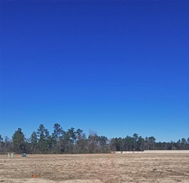 15410 Oak Bend Springs Dr, Humble, TX 77396 - photo 6