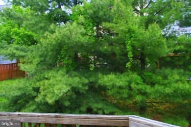 13864 Laura Ratcliff Ct, Centreville, VA 20121 - photo 7