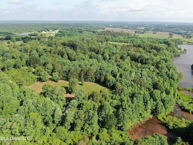 DJI_0561