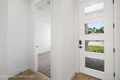 9176 Players Dr, Weeki Wachee, FL 34613 - photo 4