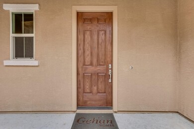 Cassia-005