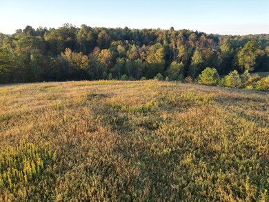 0 Casey Creek Rd unit Knifley KY 42753, Knifley, KY 42753 - photo 4