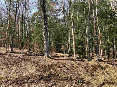 5 Branch Hill Rd unit 5, Readsboro, VT 05350 - photo 7