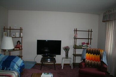 713 E Swinick Dr, Dunmore, PA 18512 - photo 5