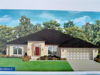 unlisted-address, Homosassa, FL 34446 - photo 2