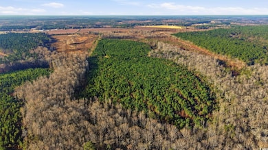 TBD S Carolina 34, Bishopville, SC 29010 - photo 7