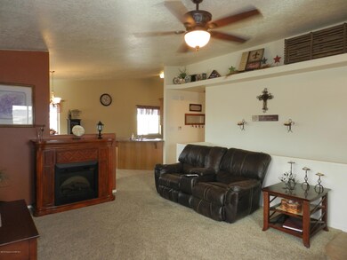 Plant and Art Shelves