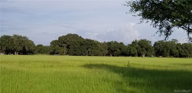 0 Sutton Oaks Ln unit 780622, Zephyrhills, FL 33541 - photo 2