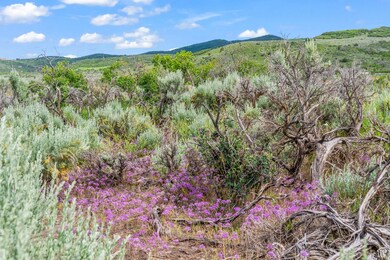 11 S Skyline View Dr E unit 2, Heber City, UT 84032 - photo 6