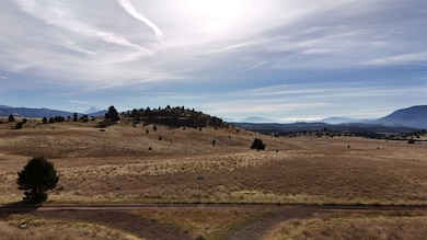 Unit 5 Lot 48 Lake Side Ln unit 5, Hornbrook, CA 96044 - photo 3