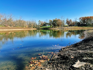 144 Blue Jay Way, Nixa, MO 65714 - photo 5