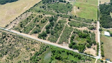 226 Tumbleweed Trail, Dale, TX 78616 - photo 5