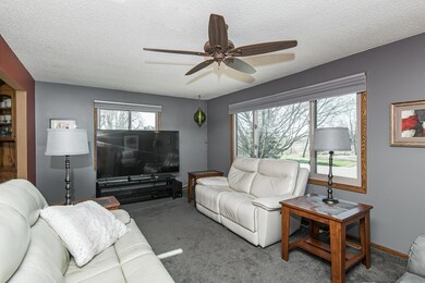 1420 Swanhill Dr, Albert Lea, MN 56007 - photo 4