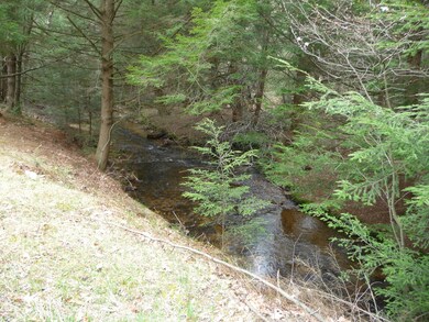 Stream