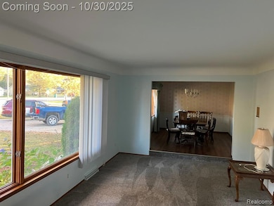 3335 W Water St, Port Huron, MI 48060 - photo 6