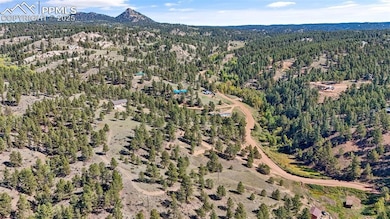 163 Valley View Dr, Florissant, CO 80814 - photo 7