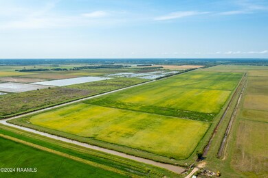 IntracoastalLodge.Rice-8