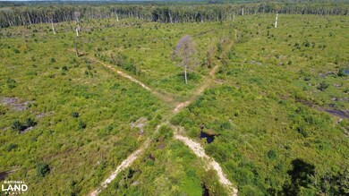 Tbd Highway 63, Ruffin, SC 29475 - photo 5