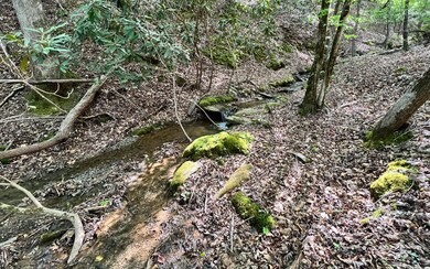 Additional View