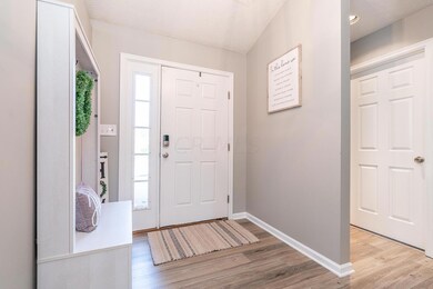 Entrance 2 Chenille