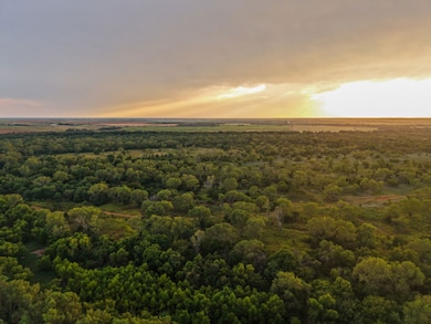 Fm171, Byers, TX 76357 - photo 7