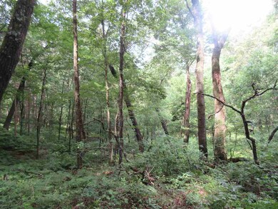 16512 Hope Rd, Camp Douglas, WI 54618 - photo 7