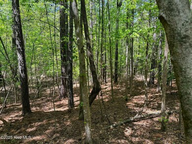 0 S Mcneill St, Carthage, NC 28327 - photo 4