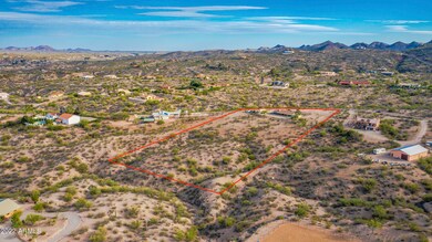 225 Turtleback 00007