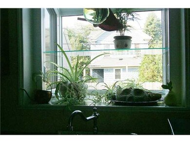 Other. Plant window over sink ....................