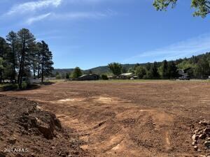 000000 Juniper Rd, Strawberry, AZ 85544 - photo 6