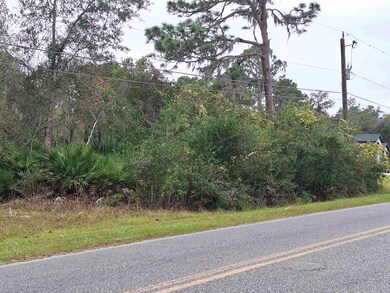 203 Crescent Lake Shore Dr, Crescent City, FL 32112 - photo 7