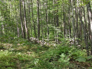 511 Kansas Rd, Bridgton, ME 04009 - photo 3