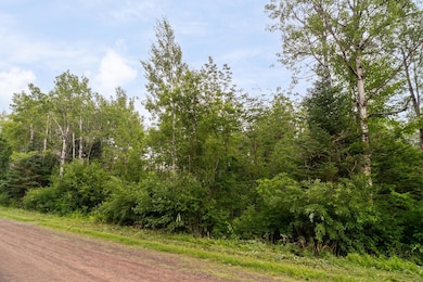 XX Torma Rd, Esko, MN 55733 - photo 2