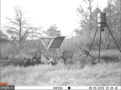 1744 E Tedious Creek Rd, Toddville, MD 21672 - photo 4