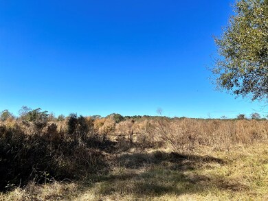 78-83 Rogers Ln, Tylertown, MS 39667 - photo 5