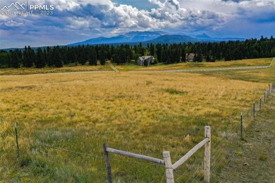 195 Joshua Rd, Divide, CO 80814 - photo 6